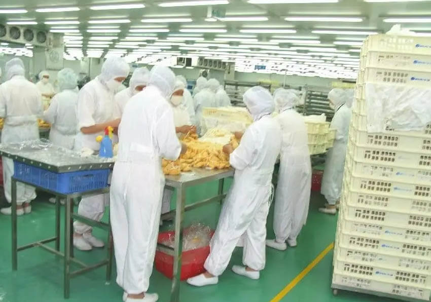 食用菌凈化廠房標準